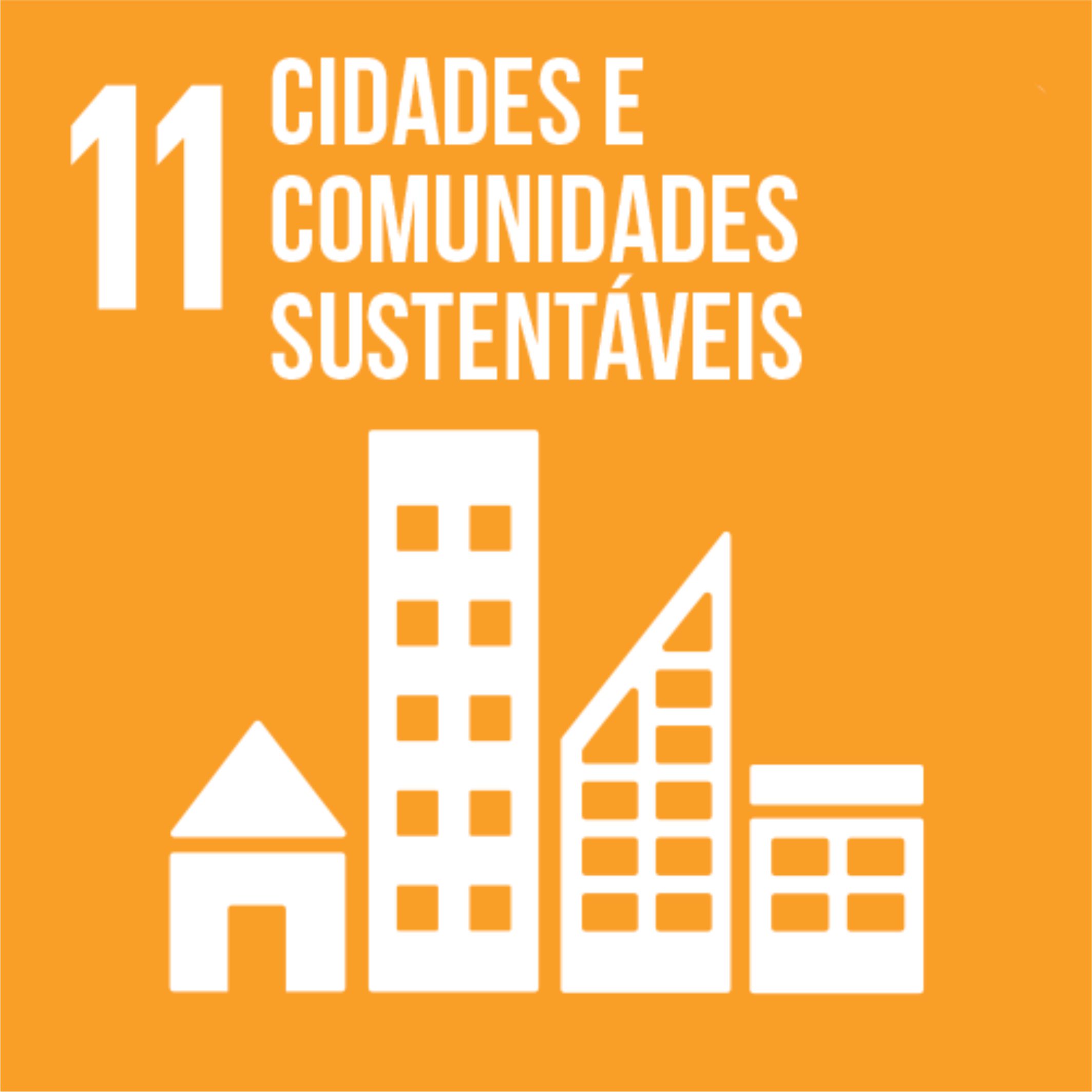 11 - CIDADES E COMUNIDADES SUSTENTVEIS