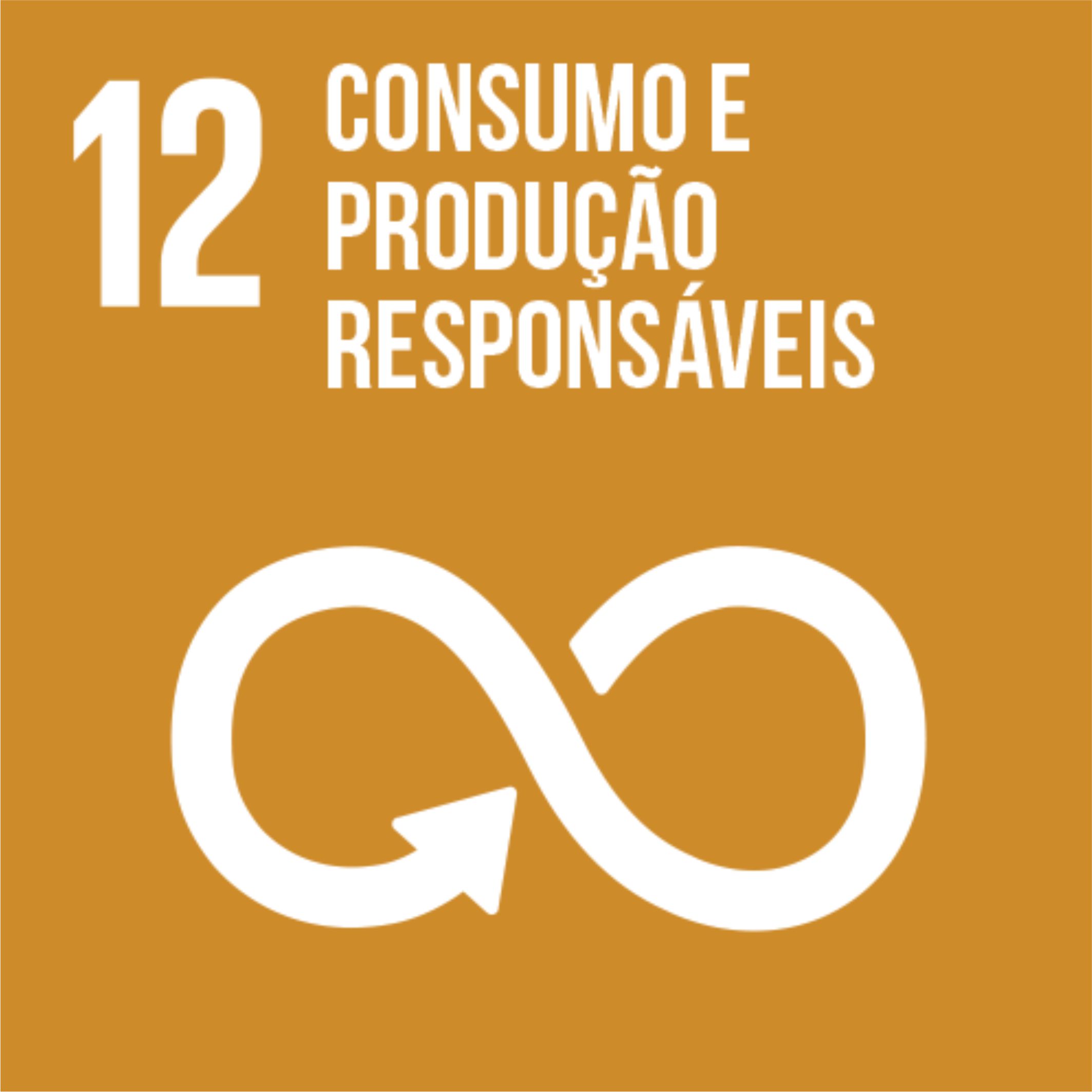 12 - CONSUMO E PRODUÇÃO RESPONSÁVEIS