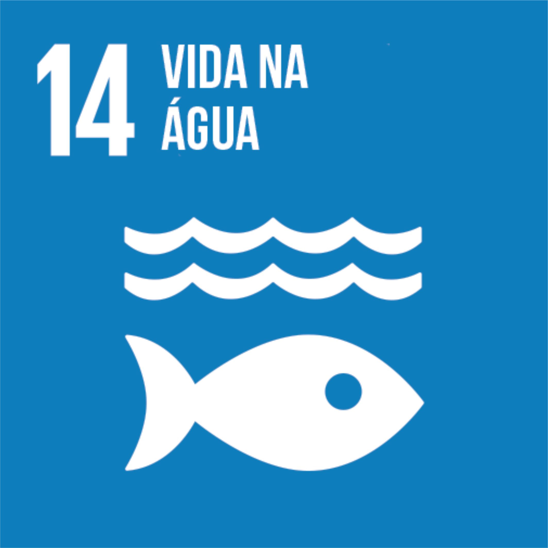 14 - VIDA NA GUA