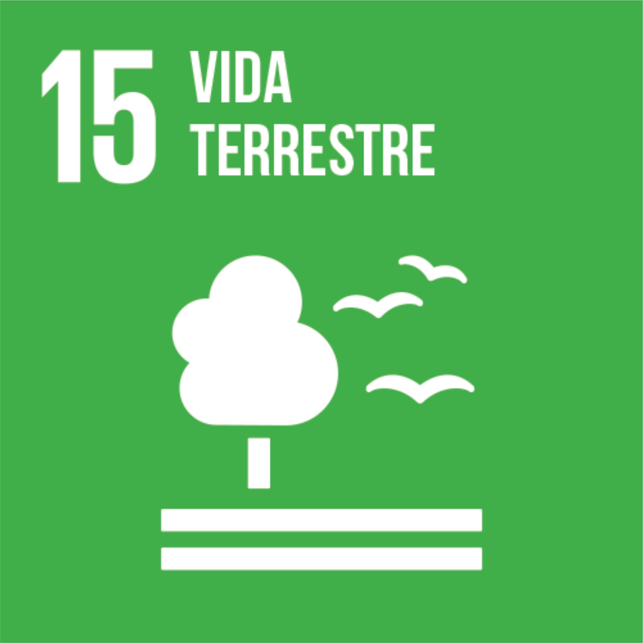 15 - VIDA TERRESTRE