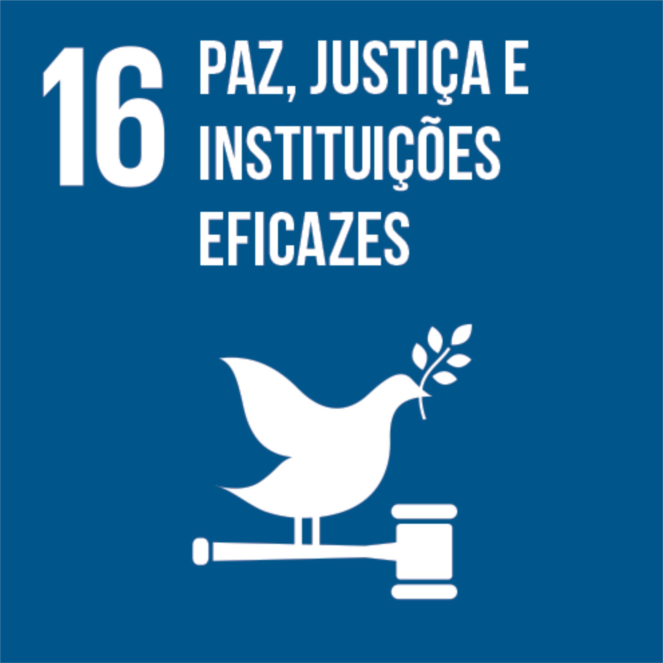 16 - PAZ, JUSTIA E INSTITUIES EFICAZES